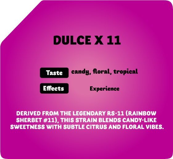 besos disposable, besos disposable vape, besos disposable gold, besos disposable 2g, besos disposable price, be$os disposable, besos wax pen, besos disposable pen, besos cart, besos pen, besos prerolls, besos joints, besos pre rolls