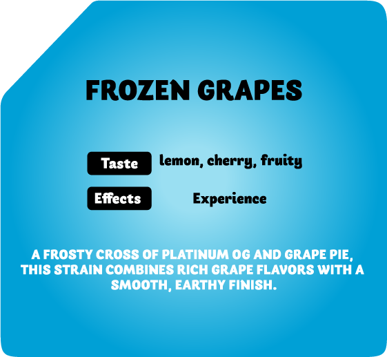 besos disposable, besos disposable vape, besos disposable gold, besos disposable 2g, besos disposable price, be$os disposable, besos wax pen, besos disposable pen, besos cart, besos pen, besos prerolls, besos joints, besos pre rolls