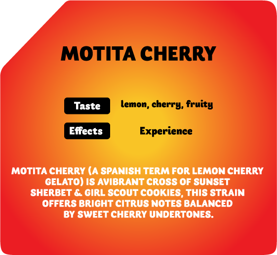 besos disposable, besos disposable vape, besos disposable gold, besos disposable 2g, besos disposable price, be$os disposable, besos wax pen, besos disposable pen, besos cart, besos pen, besos prerolls, besos joints, besos pre rolls